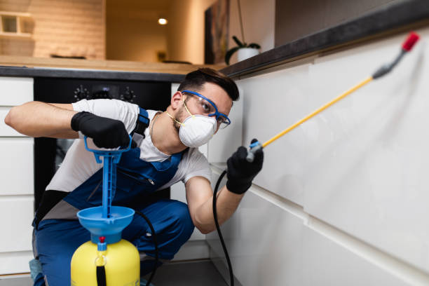 Best Mosquito Control Services  in Duenweg, MO
