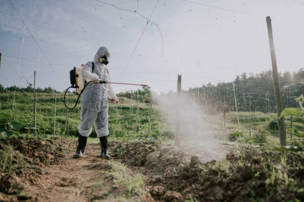 Professional Pest Control in Duenweg, MO