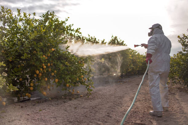 Best Residential Pest Control  in Duenweg, MO